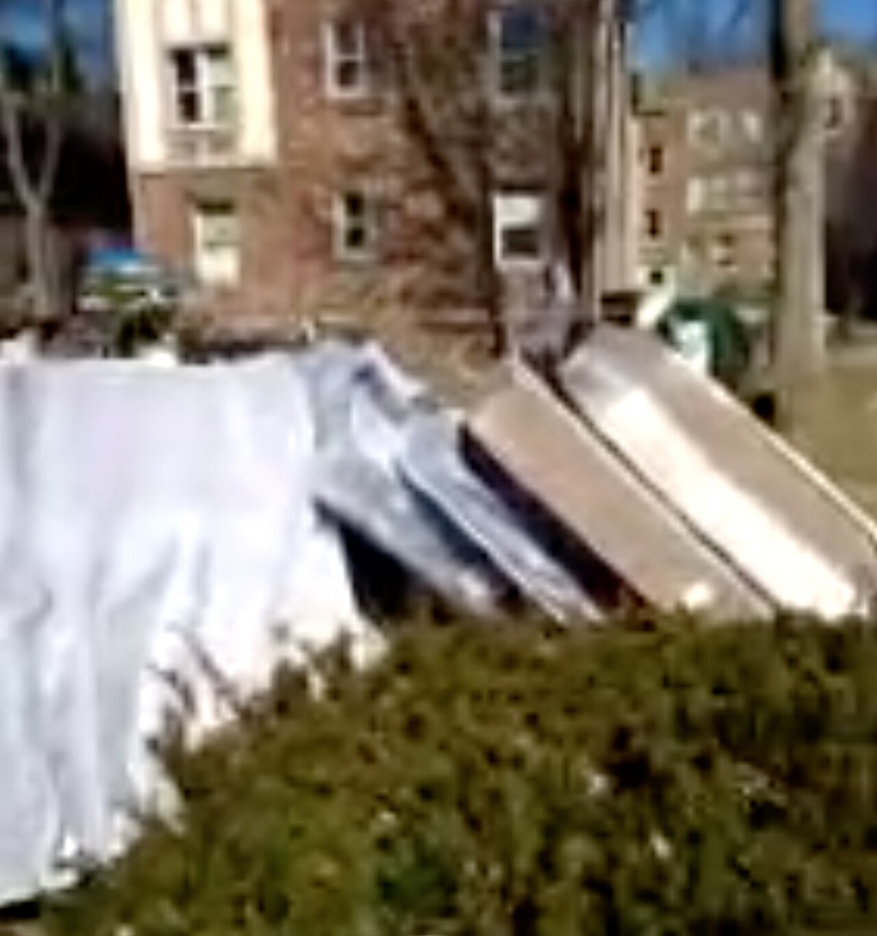 AvondaleEviction.jpg