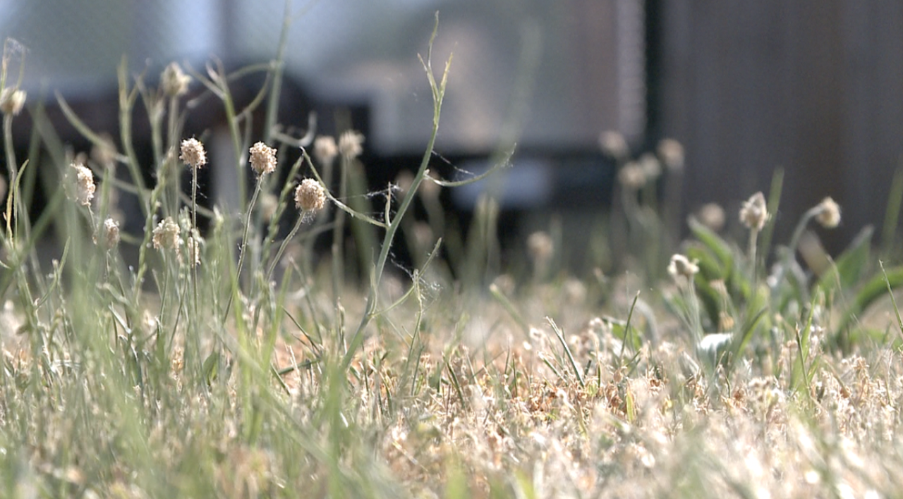 Screen Shot 2023-06-04 at 6.41.40 PM.png