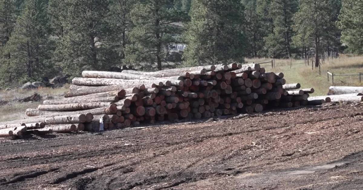 How a Montana sawmill is adapting to industry changes