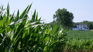 Heffron Farms