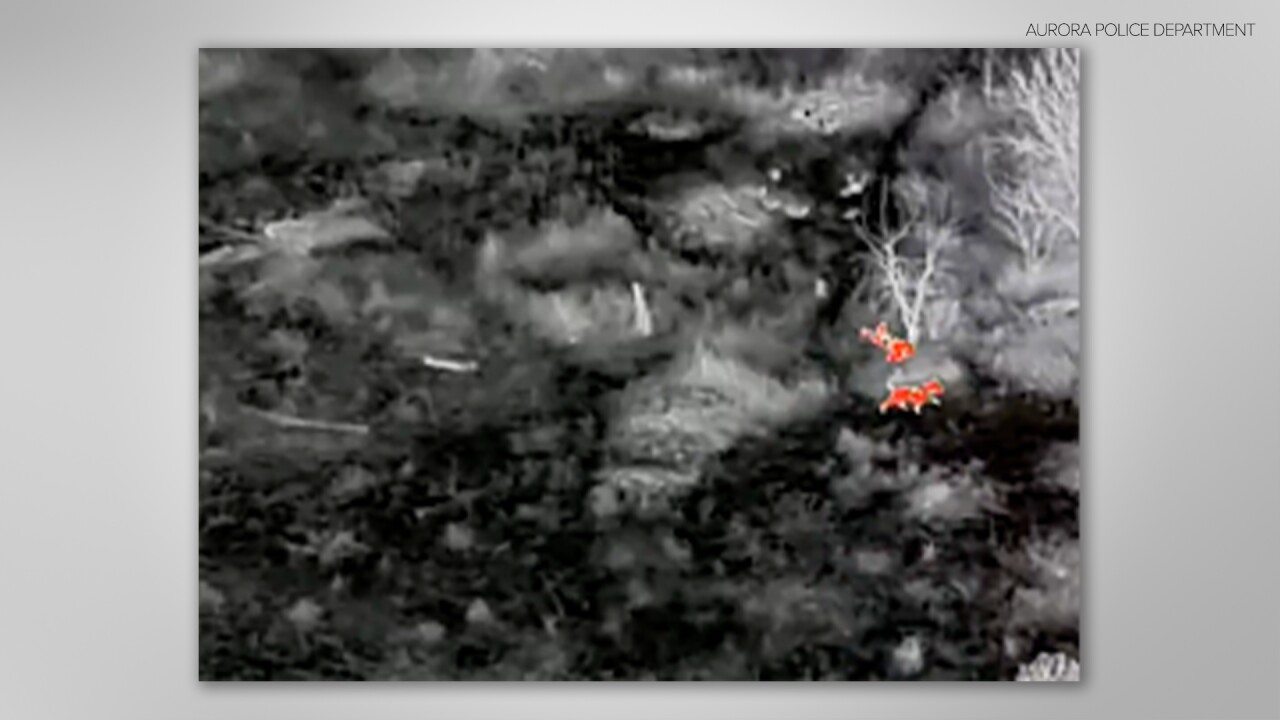 AURORA PD ARREST SUSPECT IN BUSHES.jpg