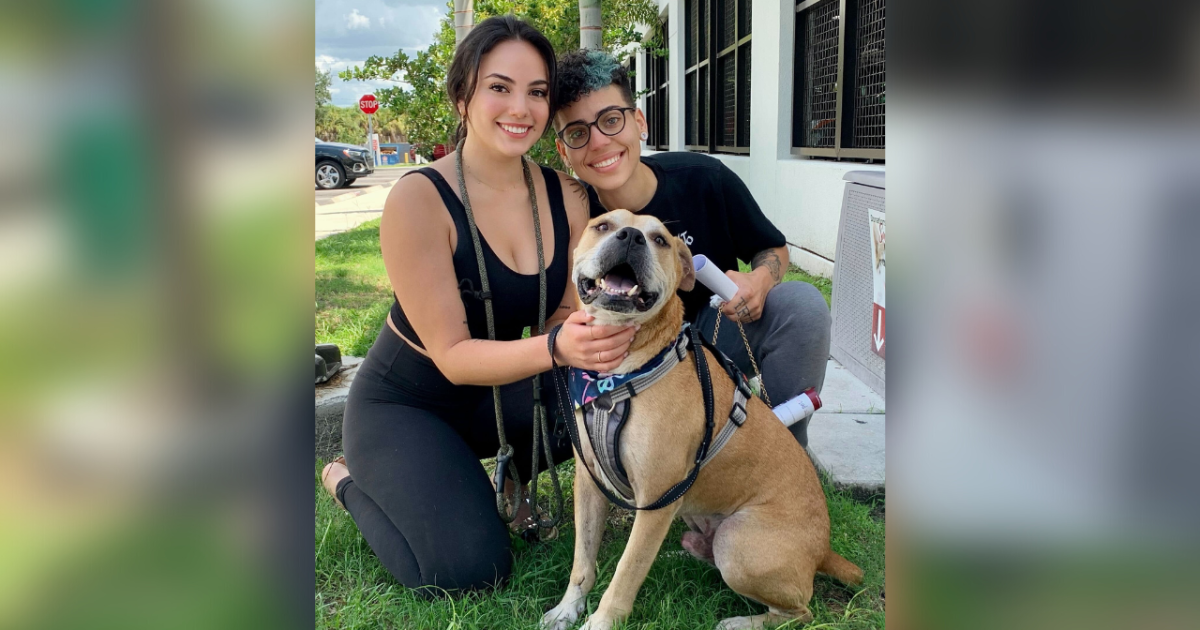 Couple reunited with their dog after more than 2 years