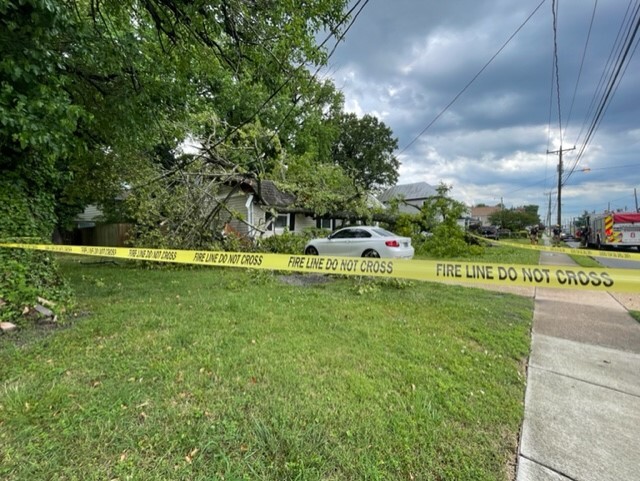 NF Wilson Road tree on home (May 16)