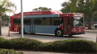 rta voter rides.png