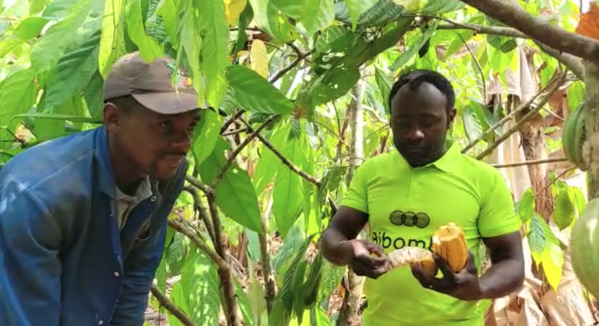 Patrick on Bibamba farm