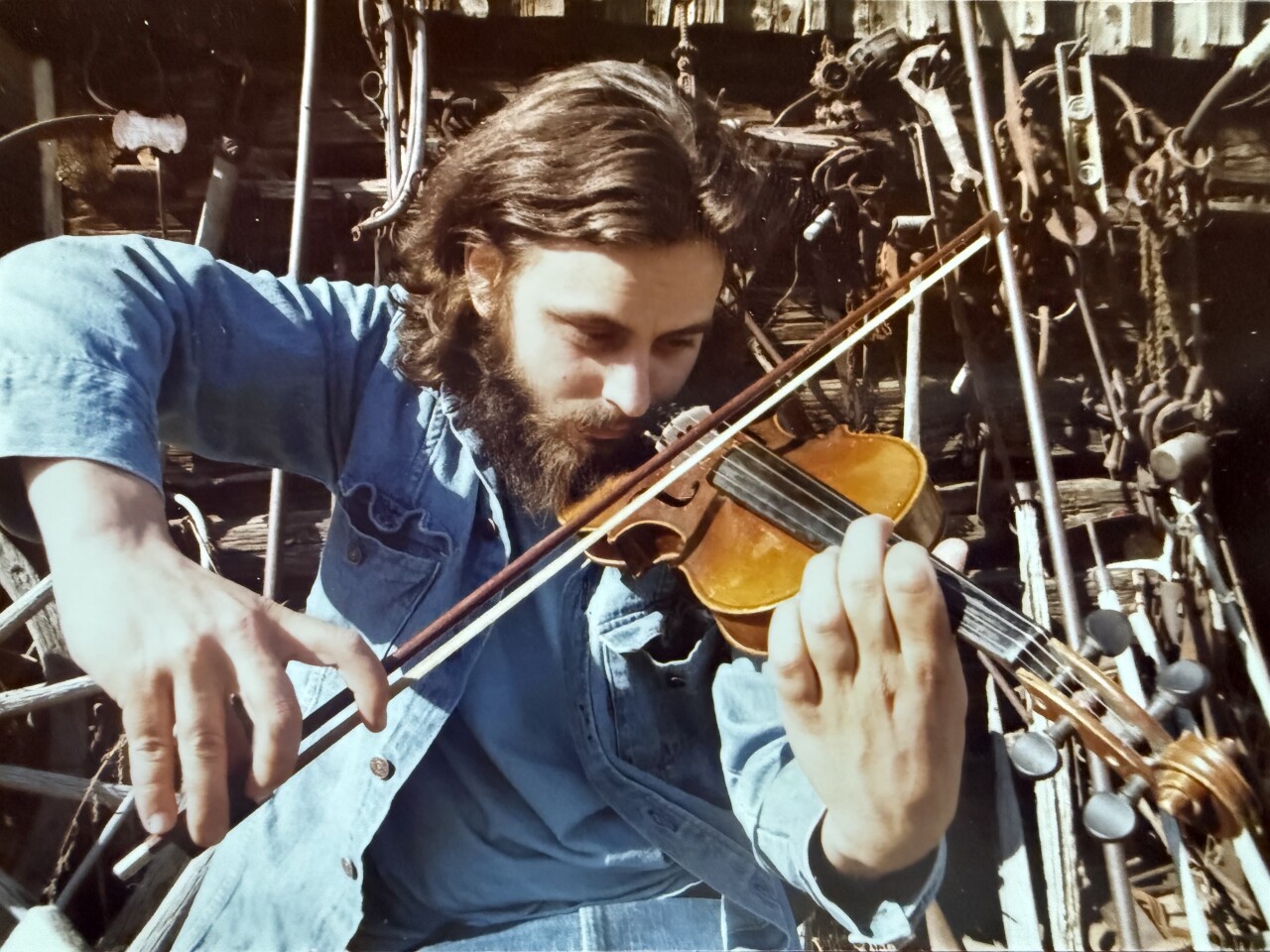 quayle fiddle play.jpg