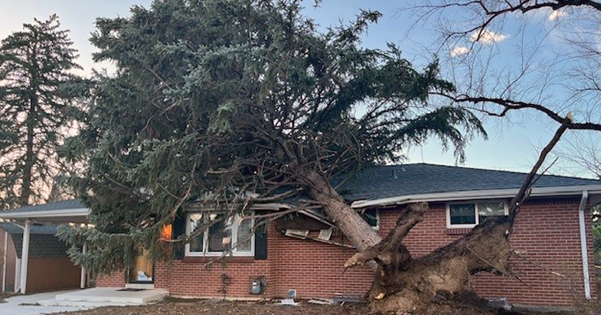 Strong winds topple trees, cause damage and power outages in Denver area