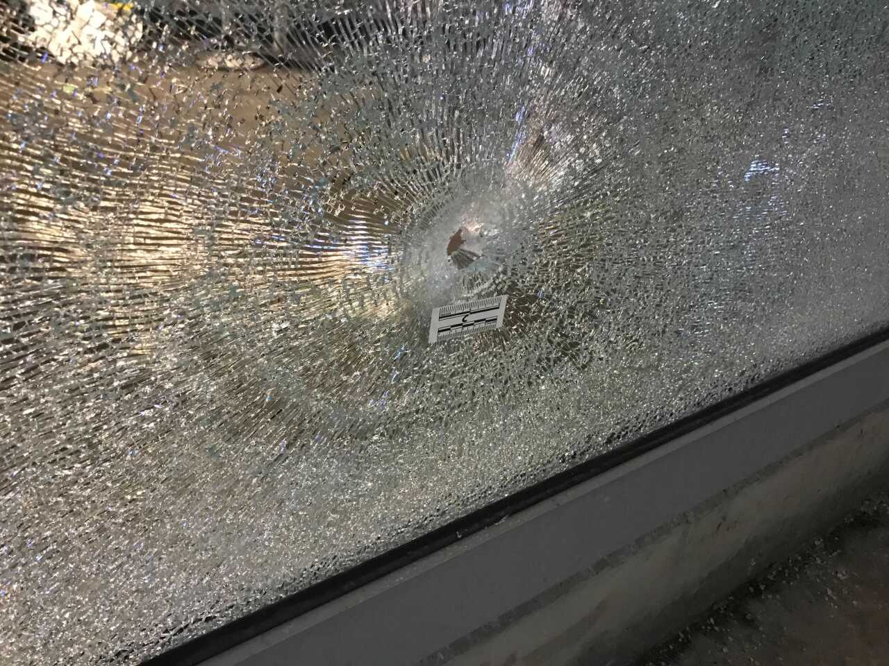 shake shack shooting