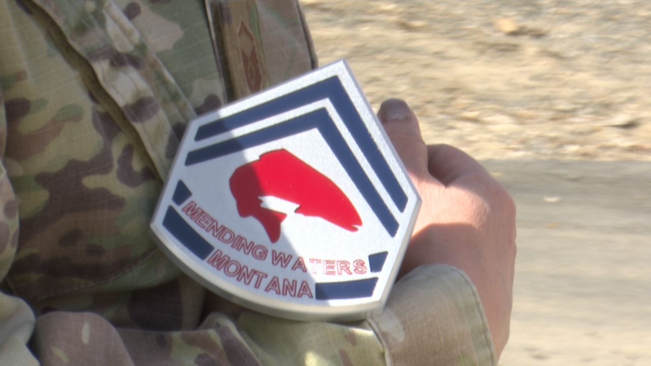 Positively Montana Trailer Hitches