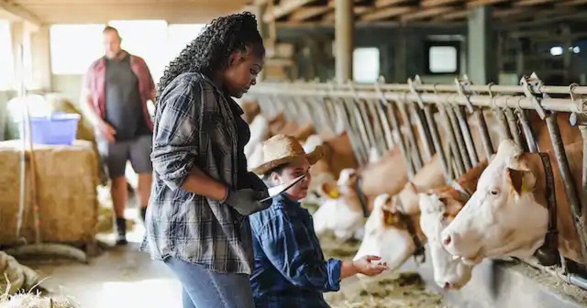 Farmers across America forced to dump their milk