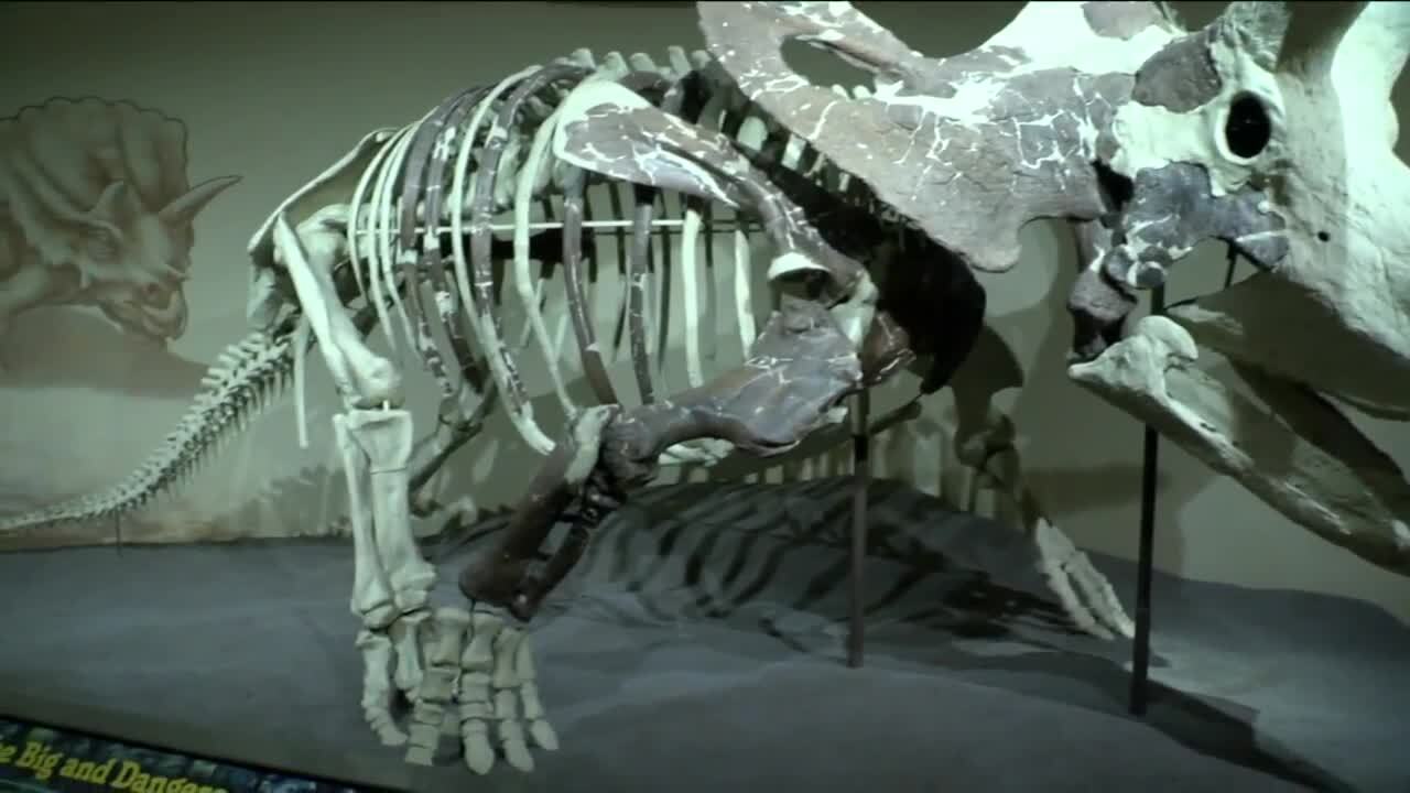 Poster image - 2021-06-09T220907.992.jpg