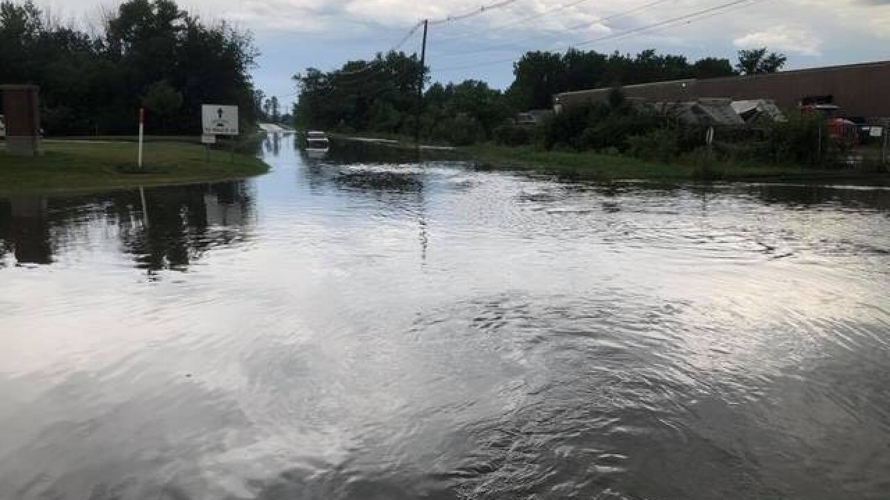 Turtle causes Orrville road to flood Thursday