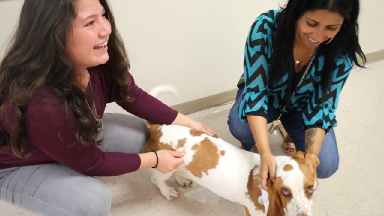 Student Gabby Killingsworth and Principal Esther Rivera play with certified therapy dog Ellie Mae at Forest Hill Community High School in West Palm Beach on May 25, 2022.jpg