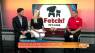 Fetch! Pet Care has your tail covered