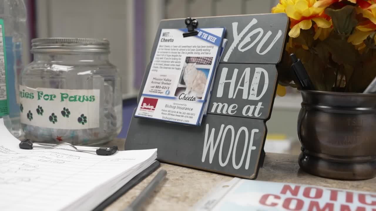 Mission Valley Animal Shelter