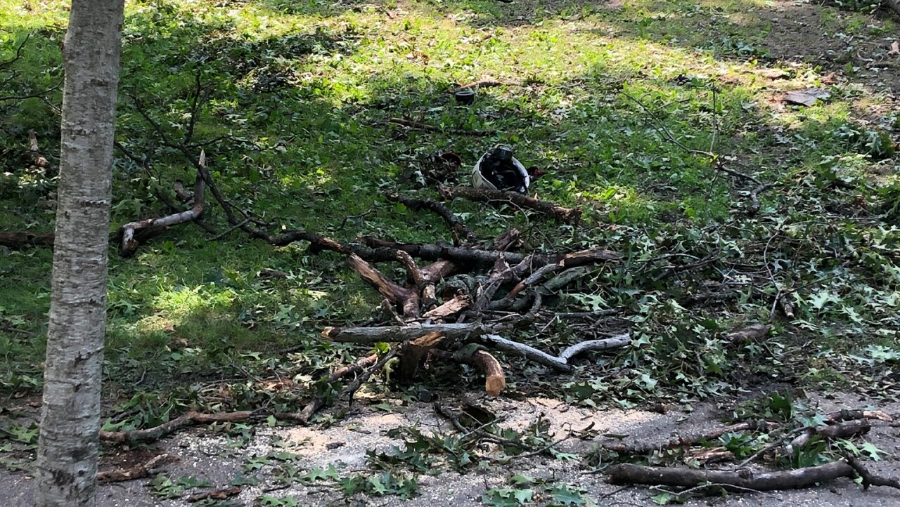 Cleveland tree trimming accident 2.jpg