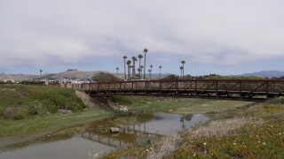 MORRO CREEK.jpg