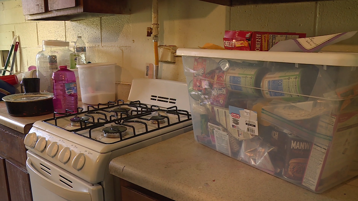 Dead mouse Richmond 02.png