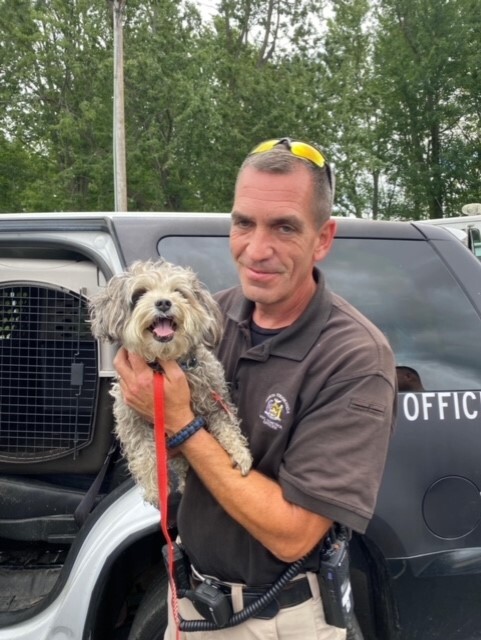 Being a dog control officer is more than a job for Officer Salisbury