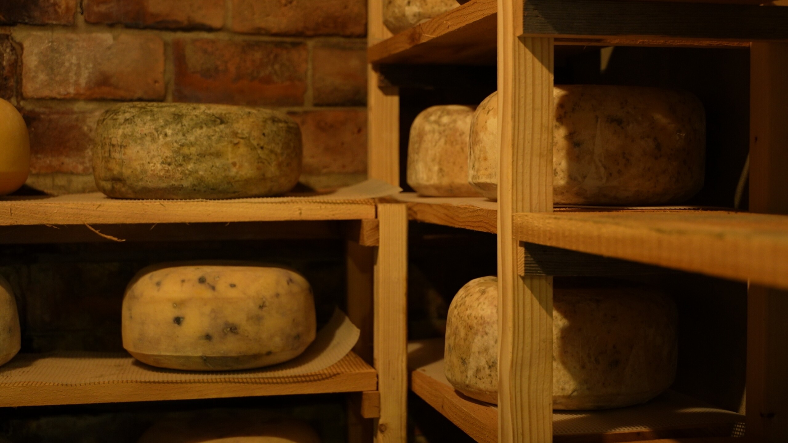 Montanamade cheese crafted underground at Greycliff Mill