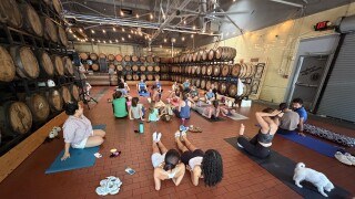 Puppy Yoga at West Sixth Brewing