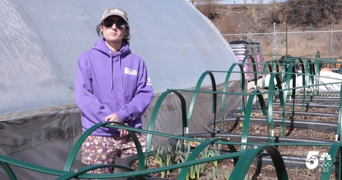 Too early? Unusually warm winter causes Colorado plants to emerge from dormancy