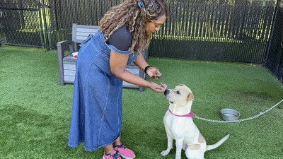 Tania and Scooby-Doo