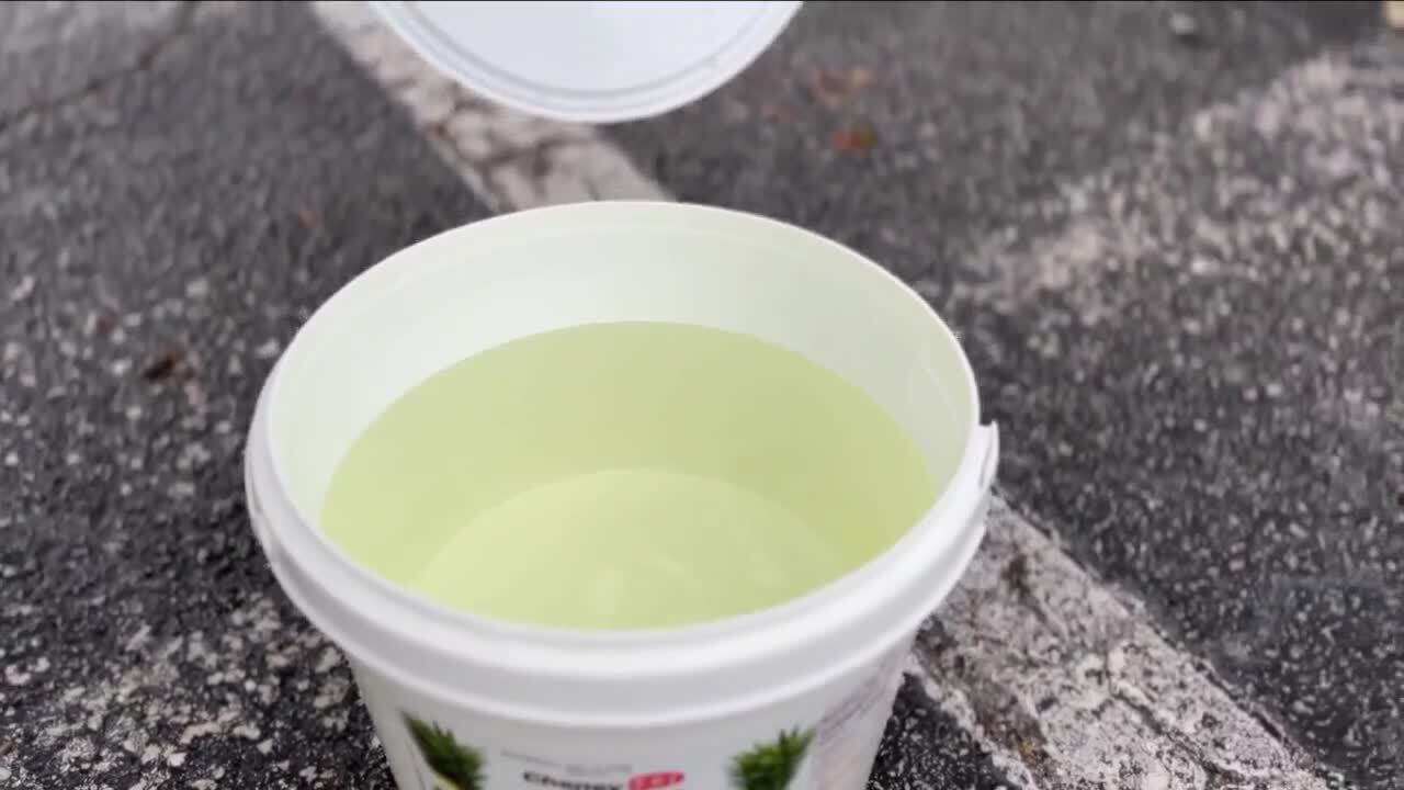 Deloris Williams, who came to the announcement at Riviera Beach City Hall with a bucket of yellow-tinted tap water from her house. Feb. 5, 2024