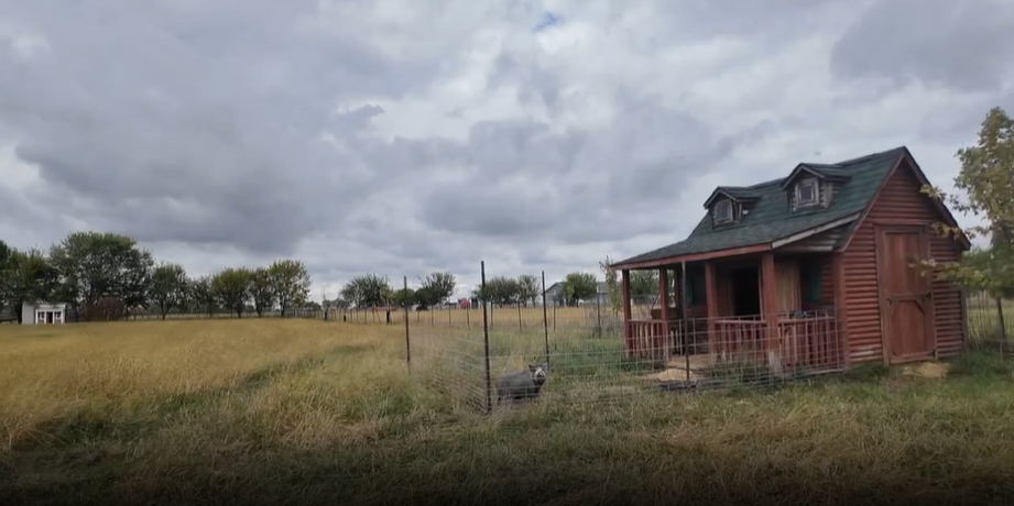 Screenshot 2025-10-06 204018.png