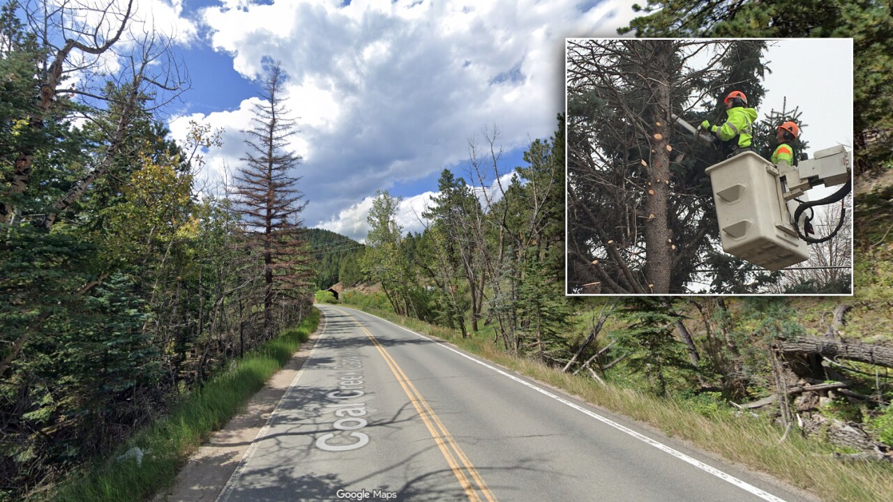 cutting trees along highways for wildfire prevention_Colorado Department of Transportation