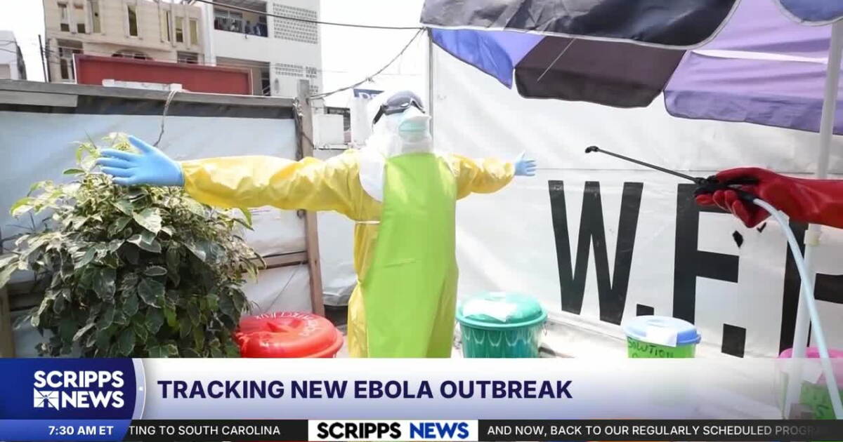 Eb Outbreak What to know about the Ebola outbreak that the WHO declared a global ...