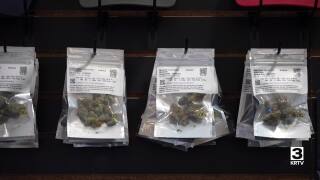 Retail Marijuana in Montana