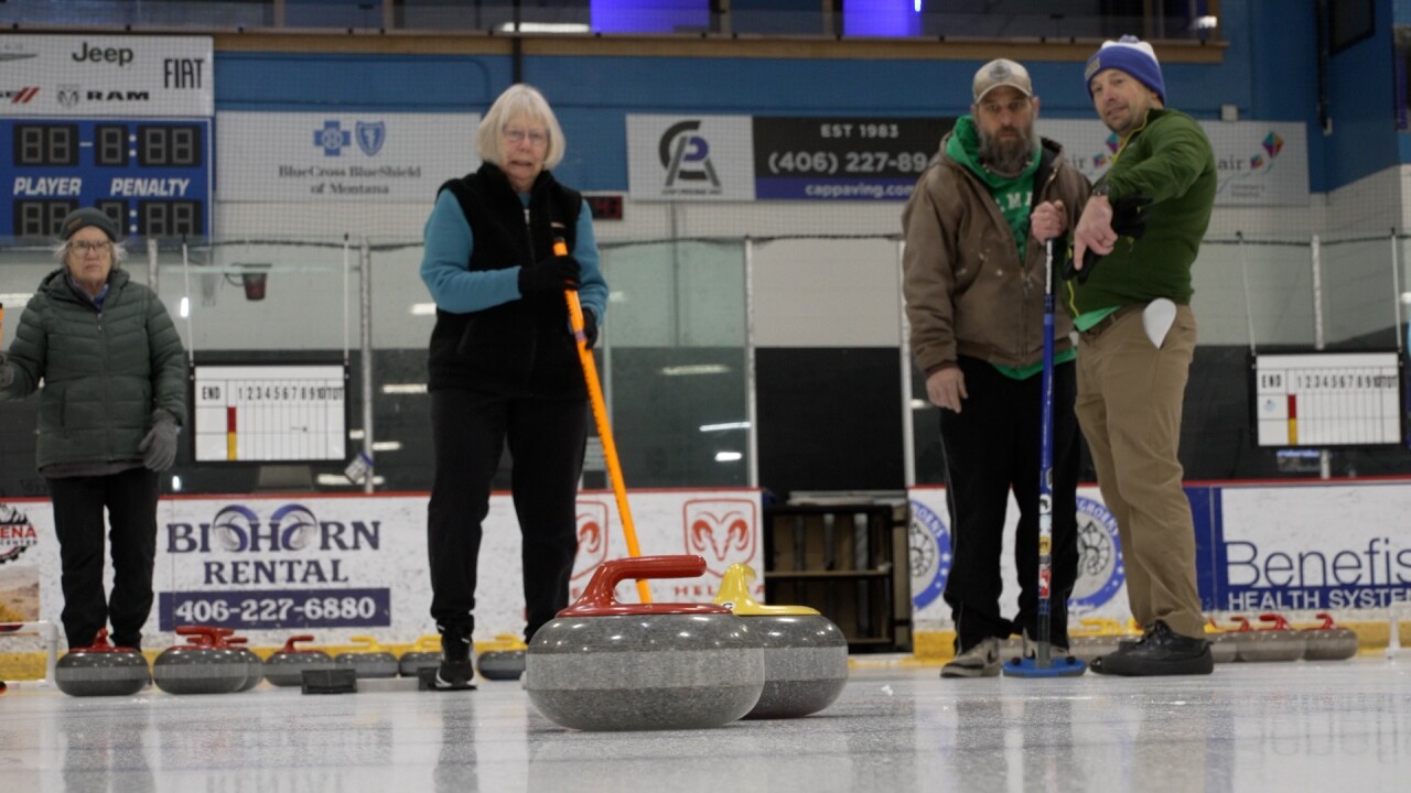 Curlers watching stones