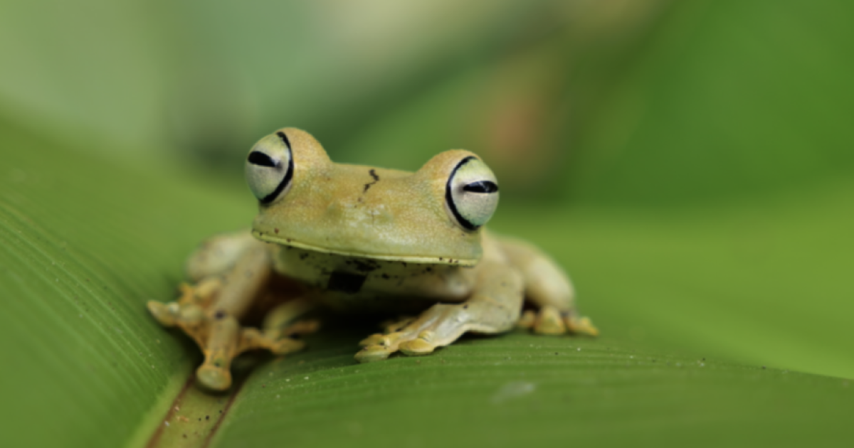 ewscripps.brightspotcdn.com image