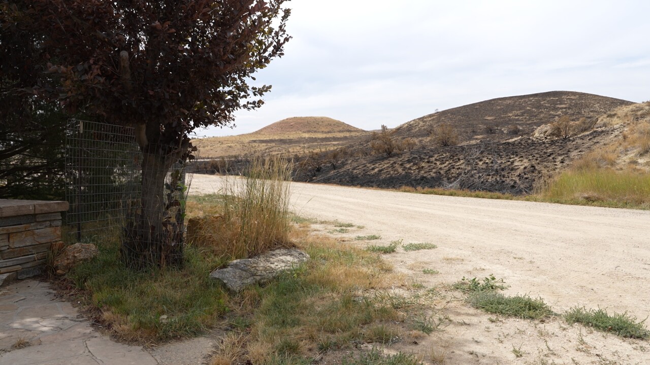 View from Belus' daughter's driveway 