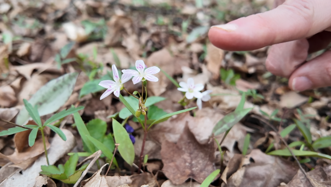 Screenshot 2026-03-30 at 6.02.32 PM.png