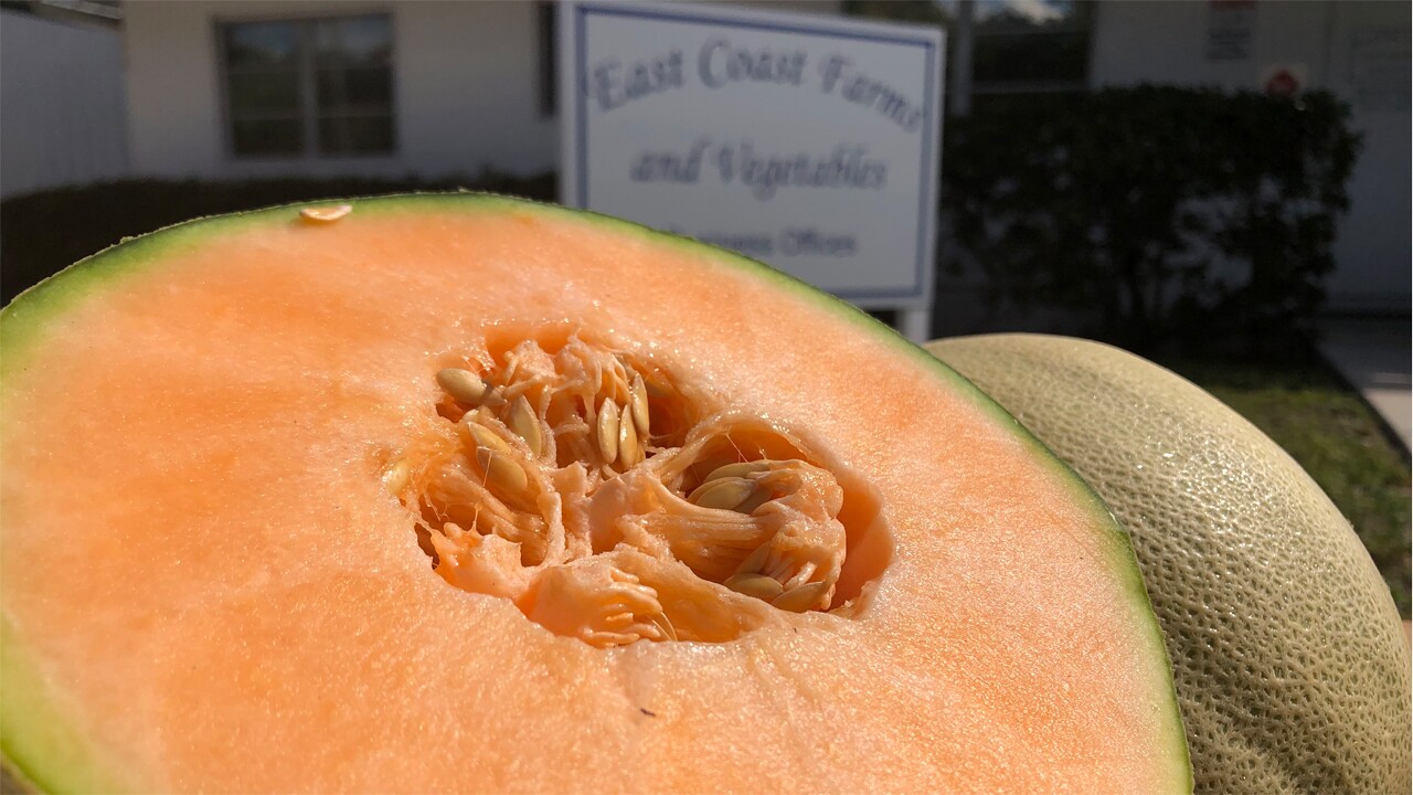 wptv-cantaloupe2.jpg