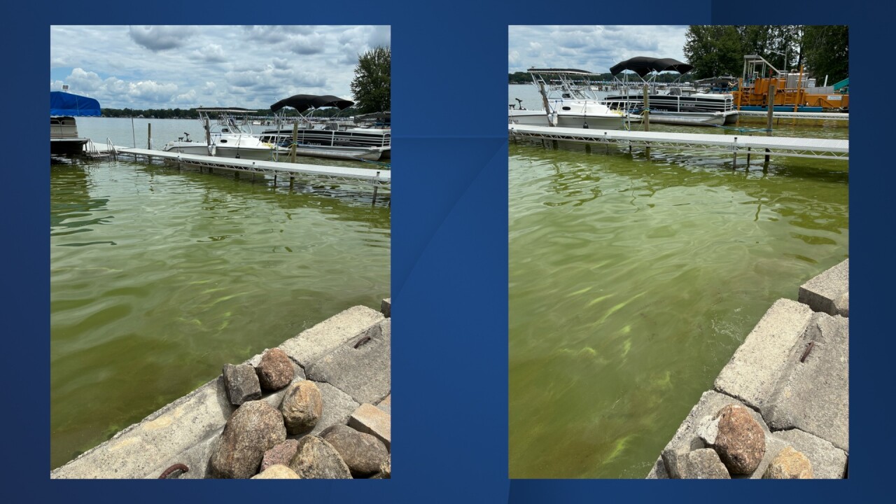 CHAUTAUQUA LAKE ALGAE.jpg