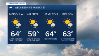 Wednesday's Forecast