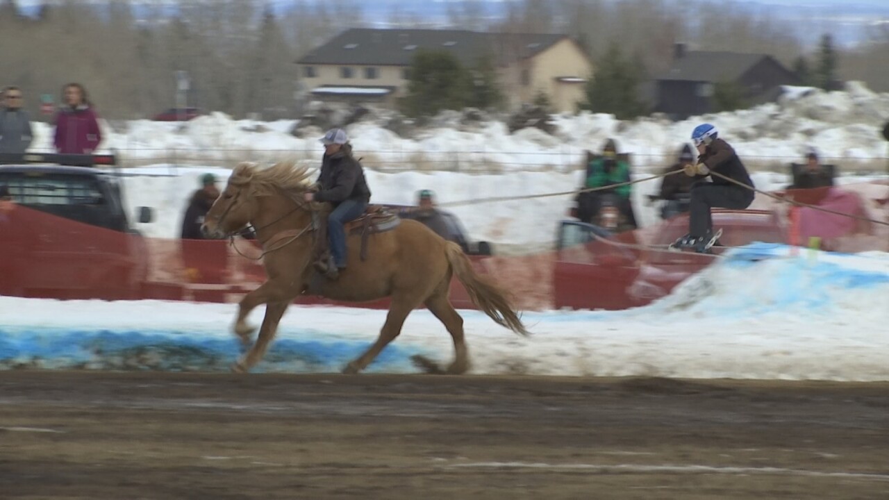 031322 SKIJORING_1.9.1.jpg