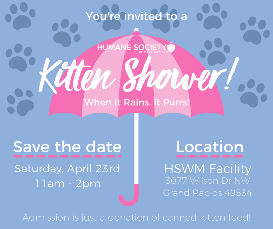 Kitten Shower 2022.png