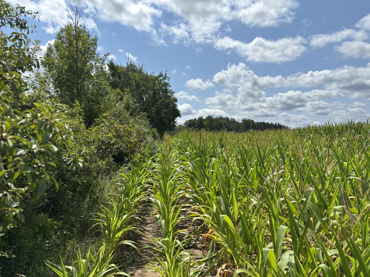 Washington County residents win round against power line proposed to serve Port Washington data center
