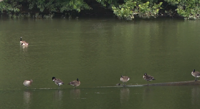 Screenshot 2025-06-30 at 5.42.33 PM.png