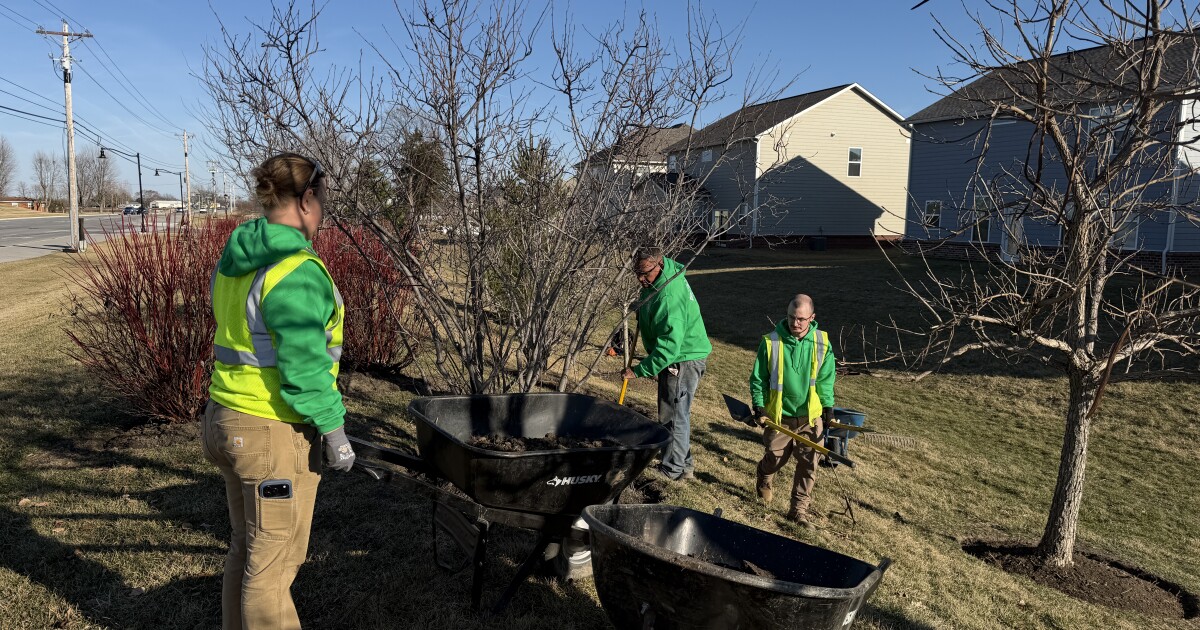Black-owned, woman-led landscaping business creates local pathway to employment