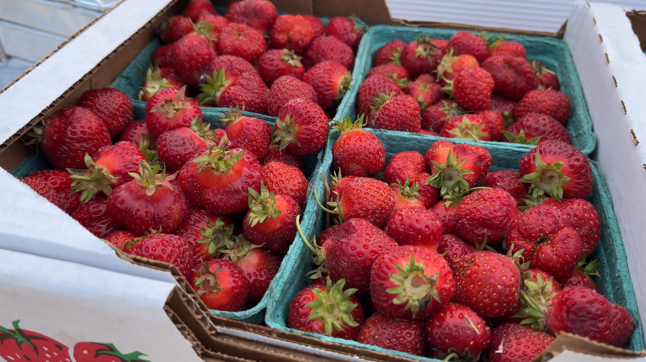 SUMMER SAVINGS: Four ways to make your dollar go further at the farmers market