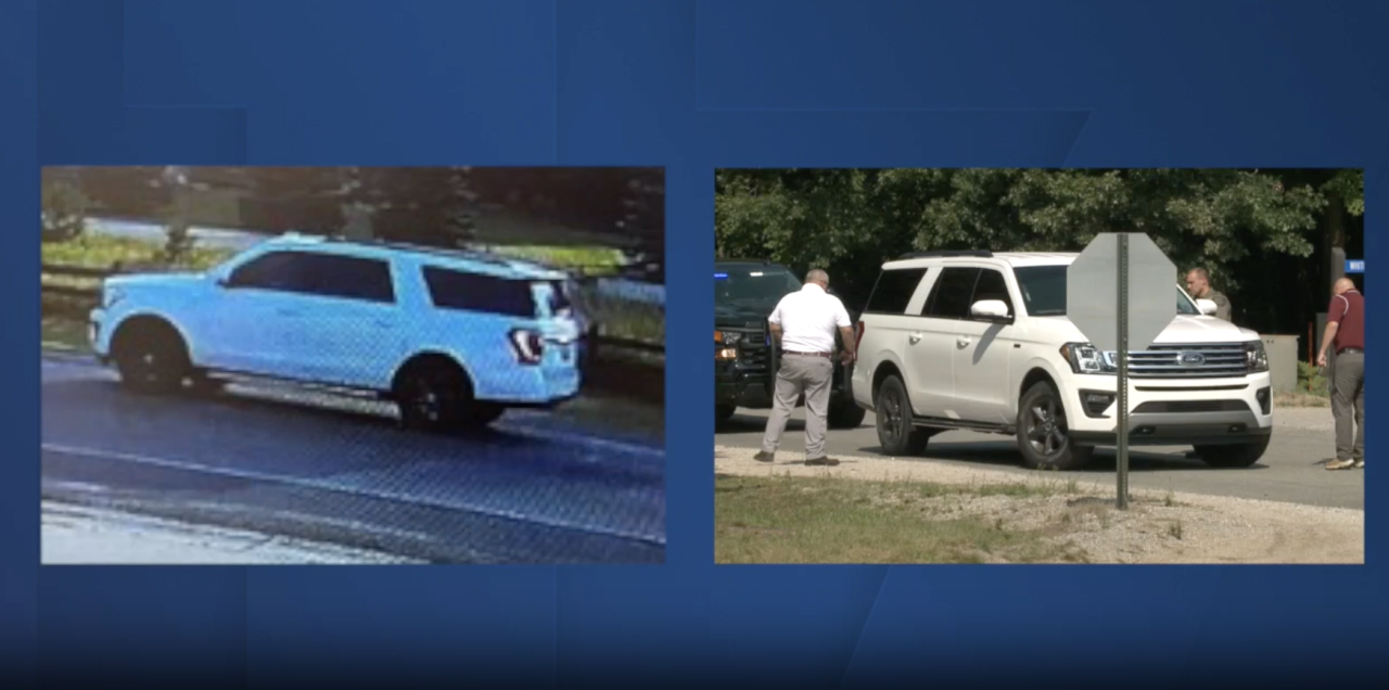 mecosta county hit and run