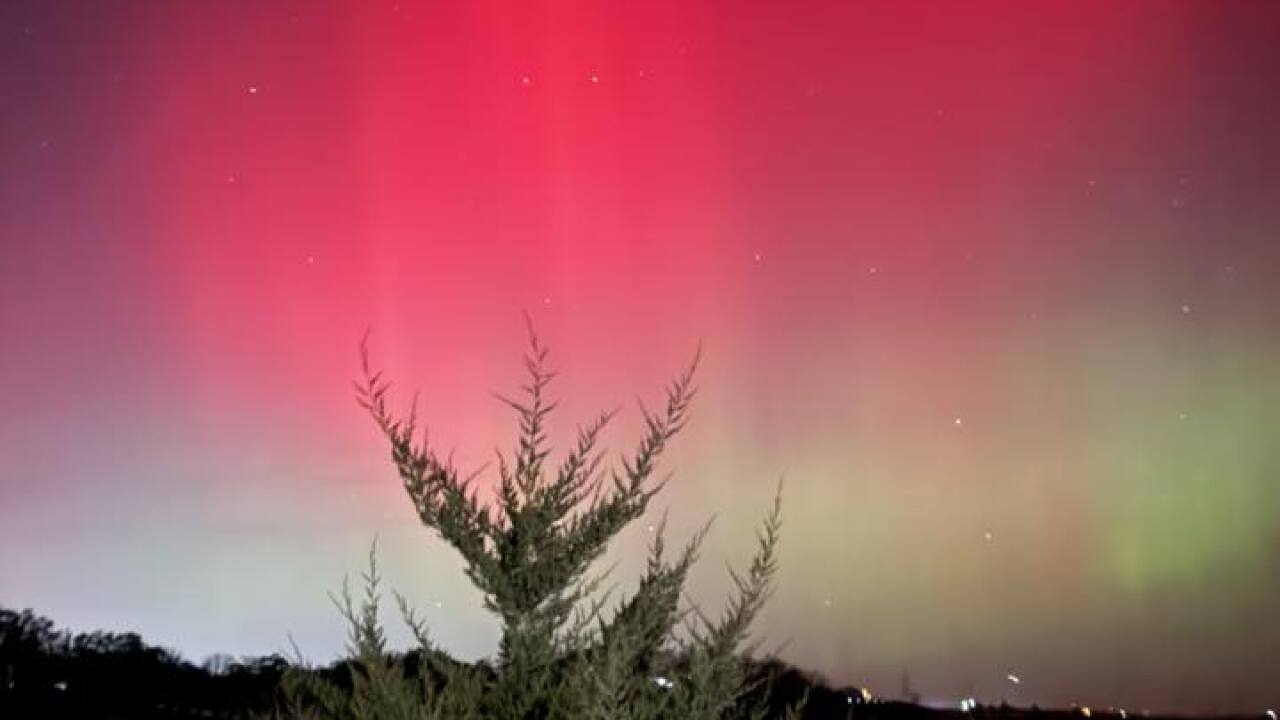 Sar B - Glenwood.jpg