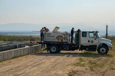Willow Fire CPW .jpg