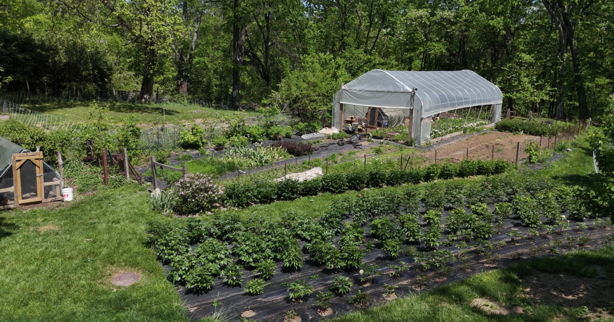 22 years ago, a group of neighbors started an ecovillage. Now, it spans 4 streets in East Price Hill