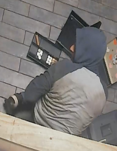 Rooftop burglar 3.png